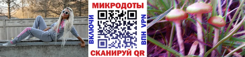 Псилоцибиновые грибы GOLDEN TEACHER  Купить  Кашин 